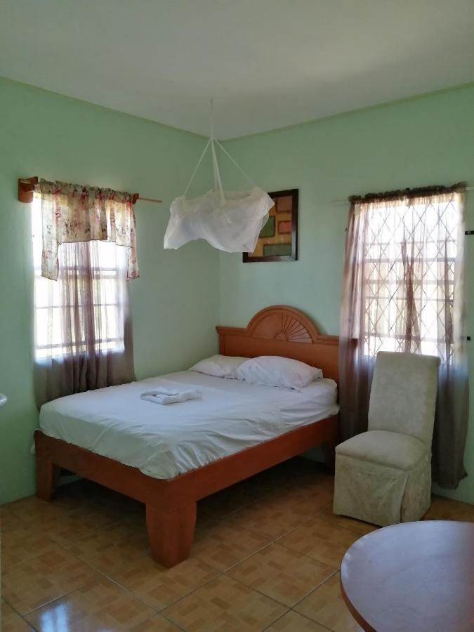 ג'ורג'טאון Ms. Holder'S Comfort Villa מראה חיצוני תמונה